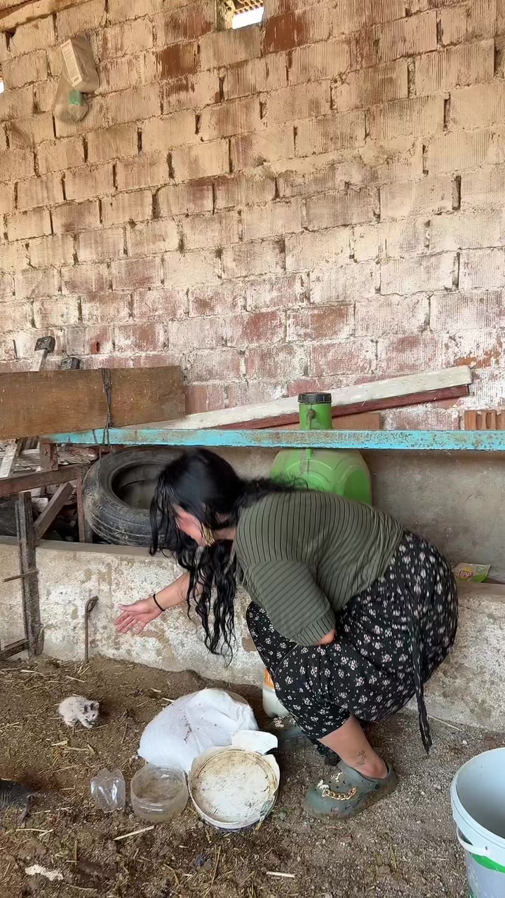 @Özlem Pamukçu