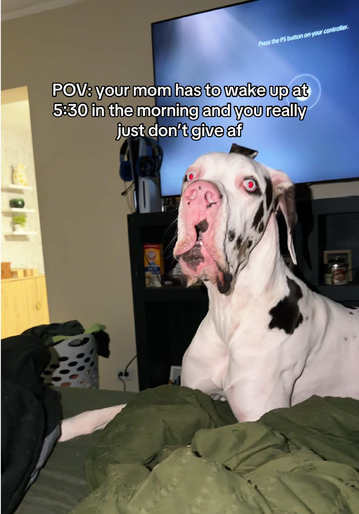 @stonethedane