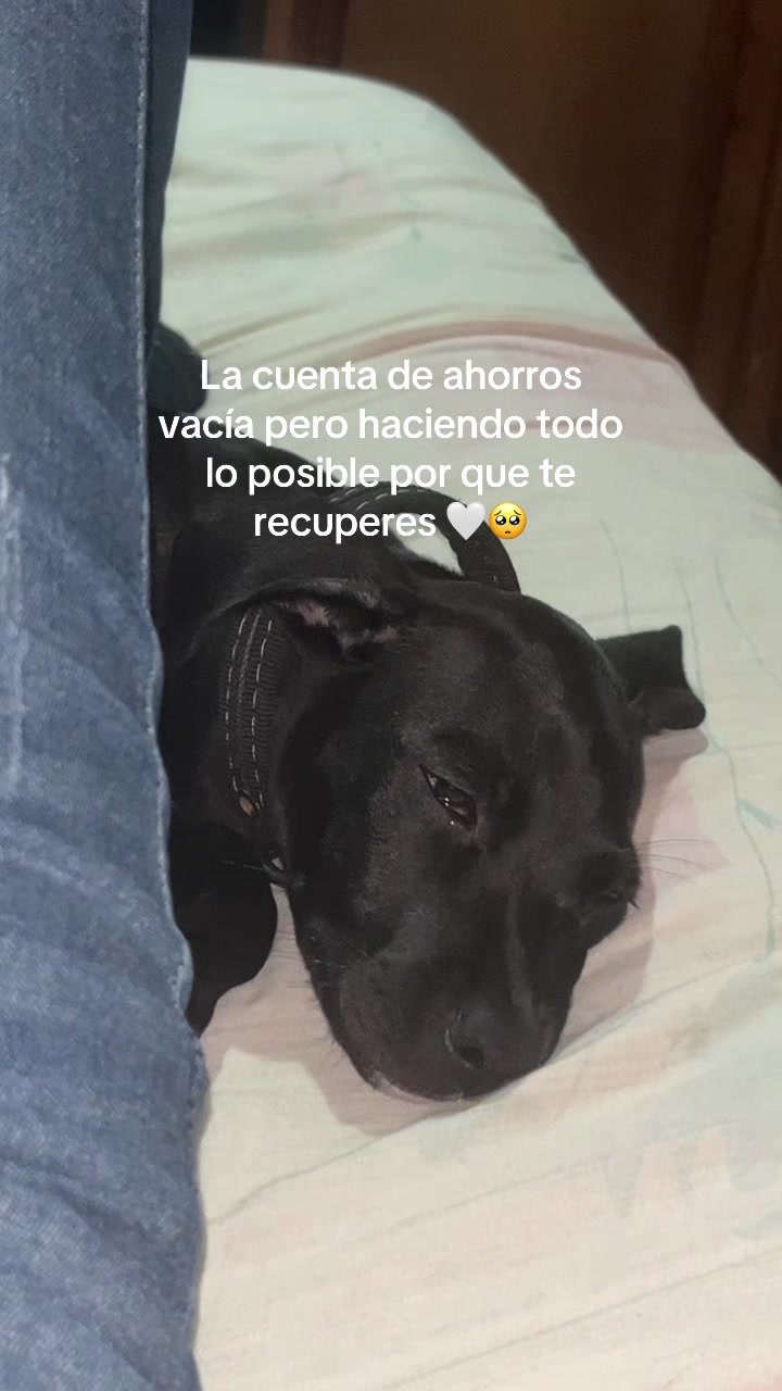 @Yami🍒