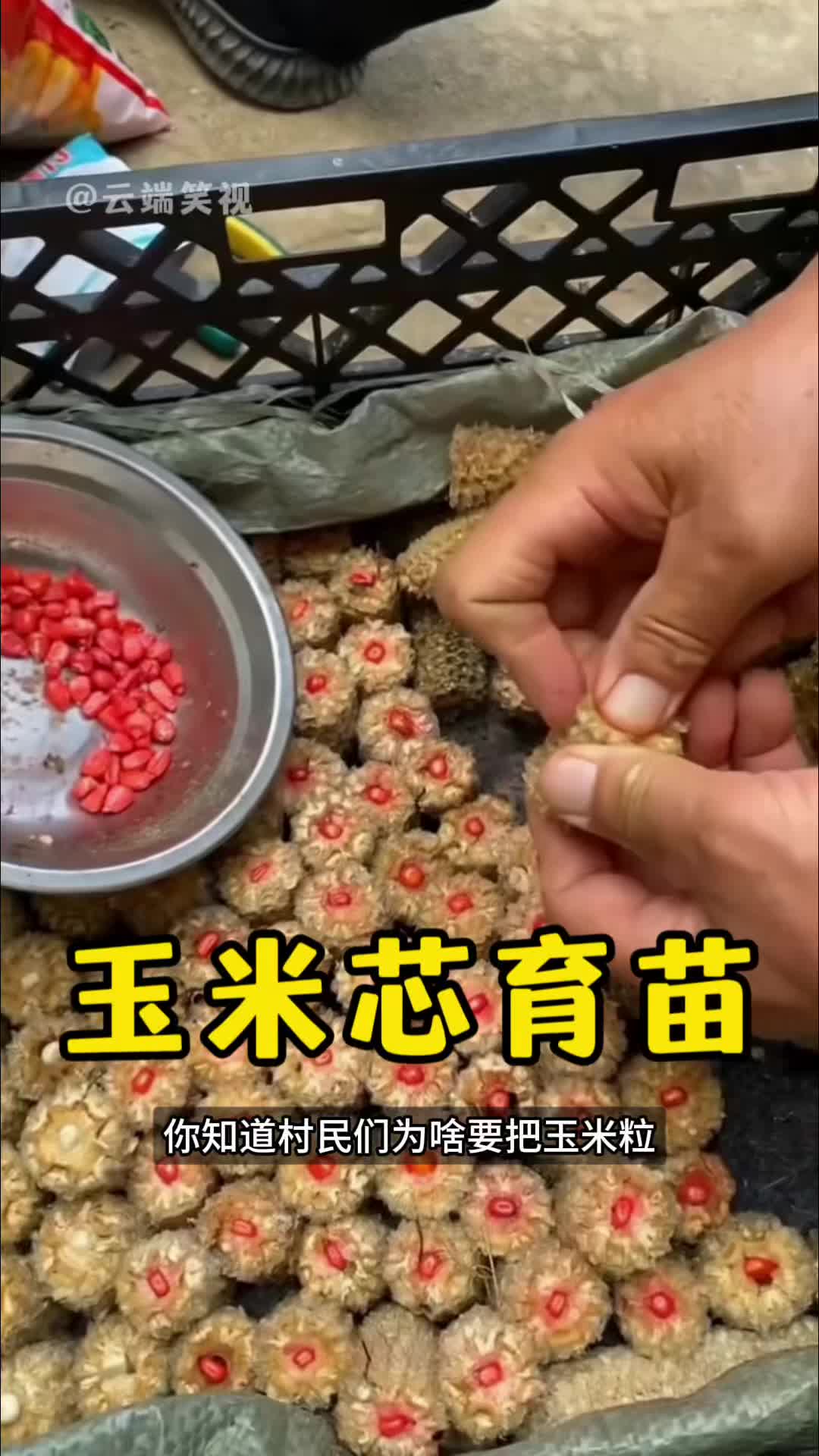 @云端笑视