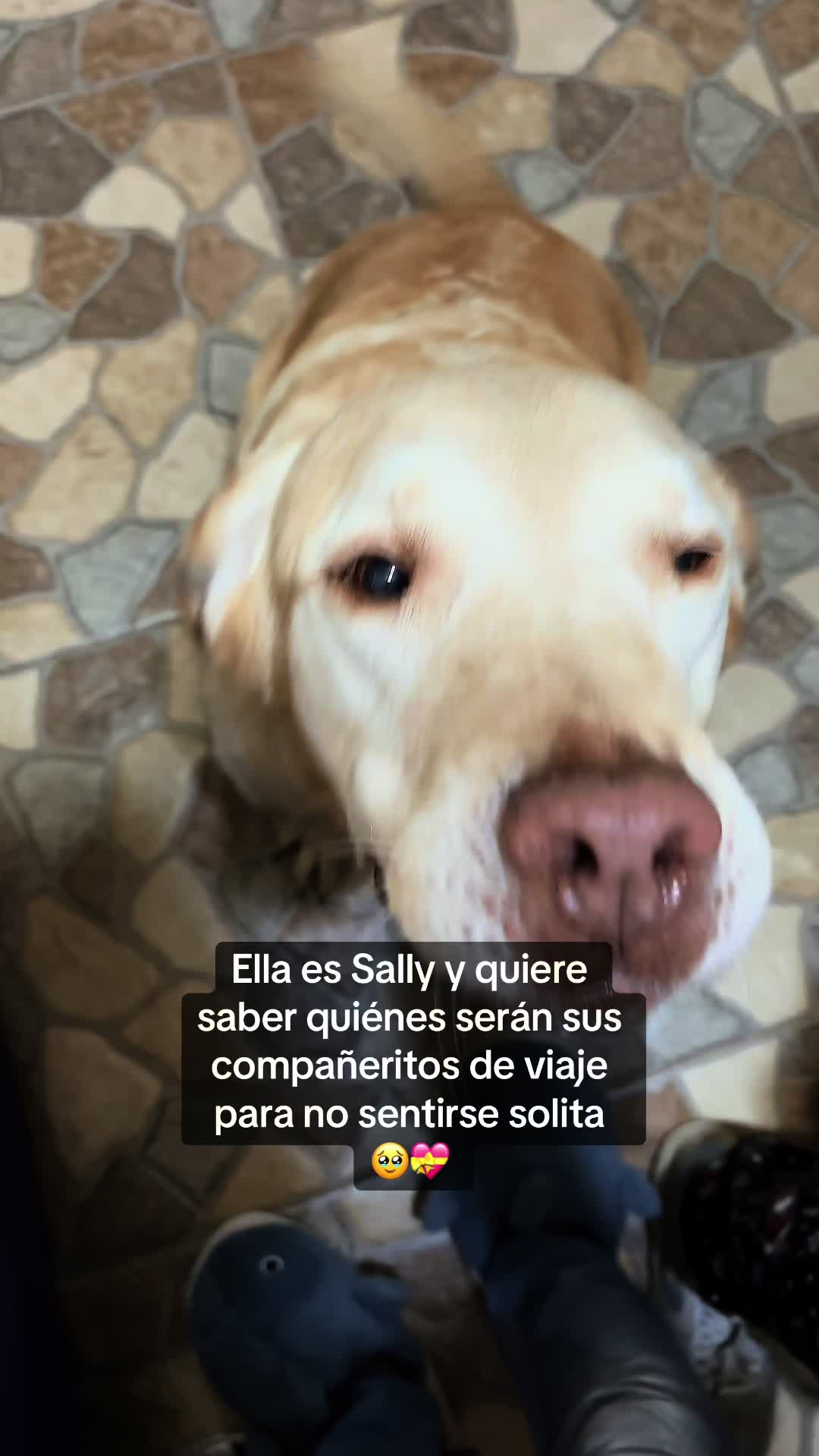 @Iván Lucatero