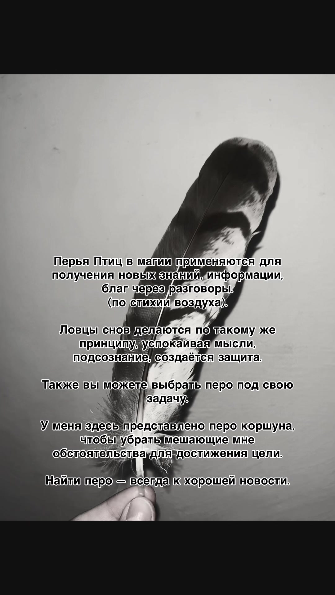 @Scara Cryst 999