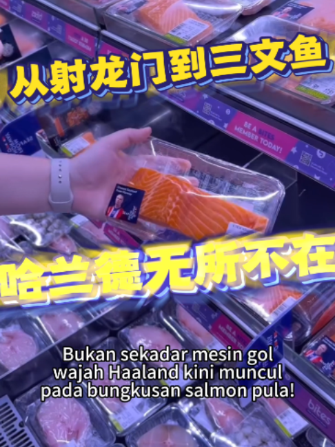 @中国报