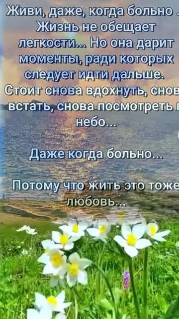 @Ольга Смусь