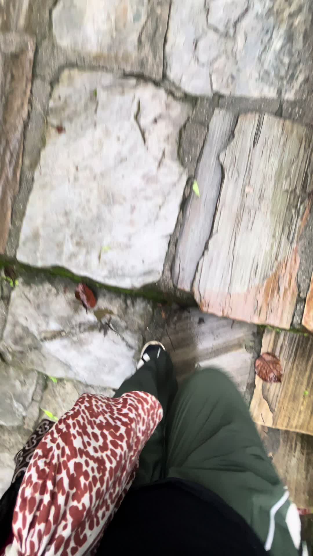 @🦋