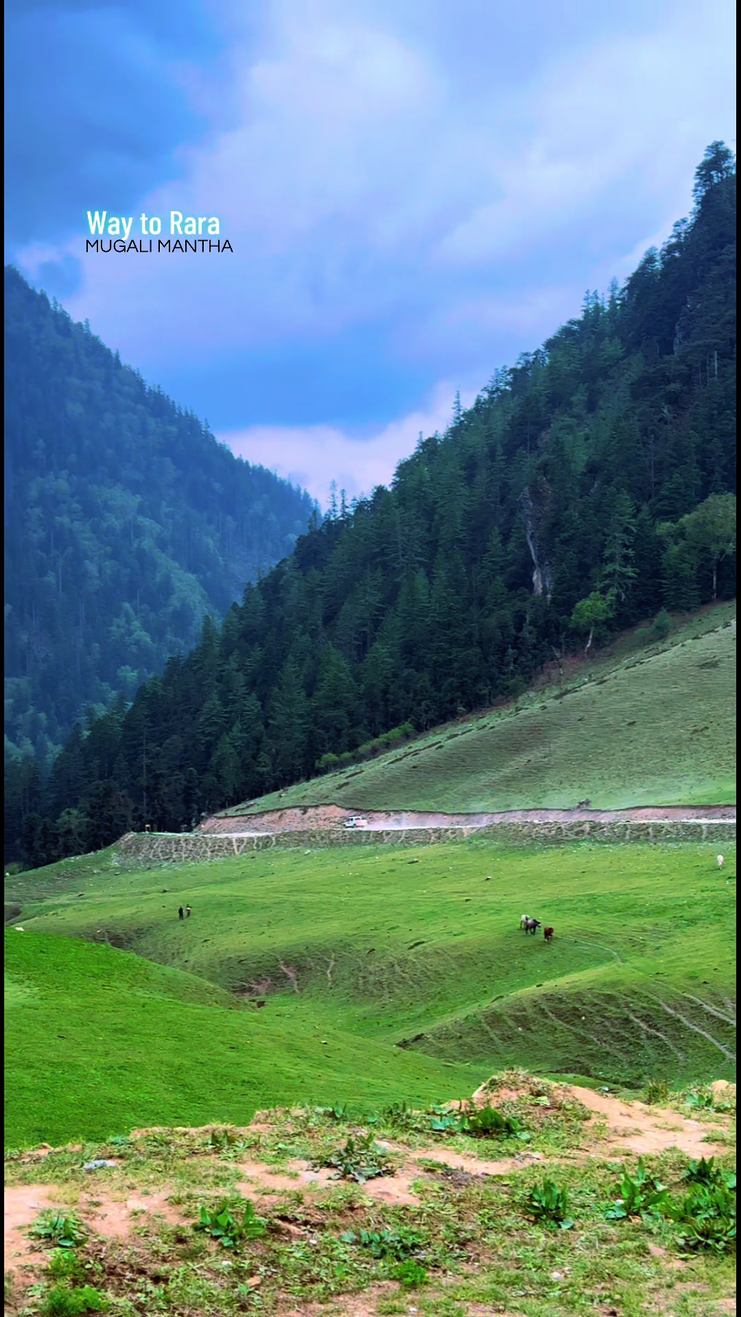 @मुगालि मान्ठ🇳🇵
