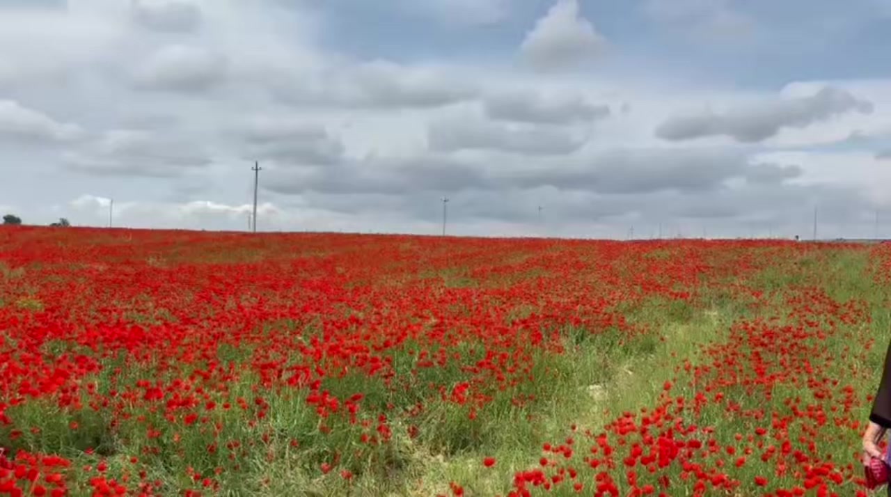 @Айдарбек