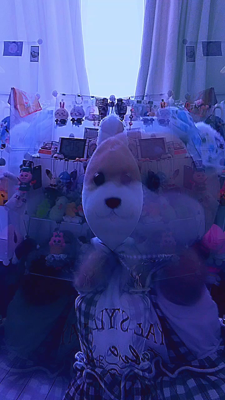 @オクトうさぎ🐰❤🐻💓