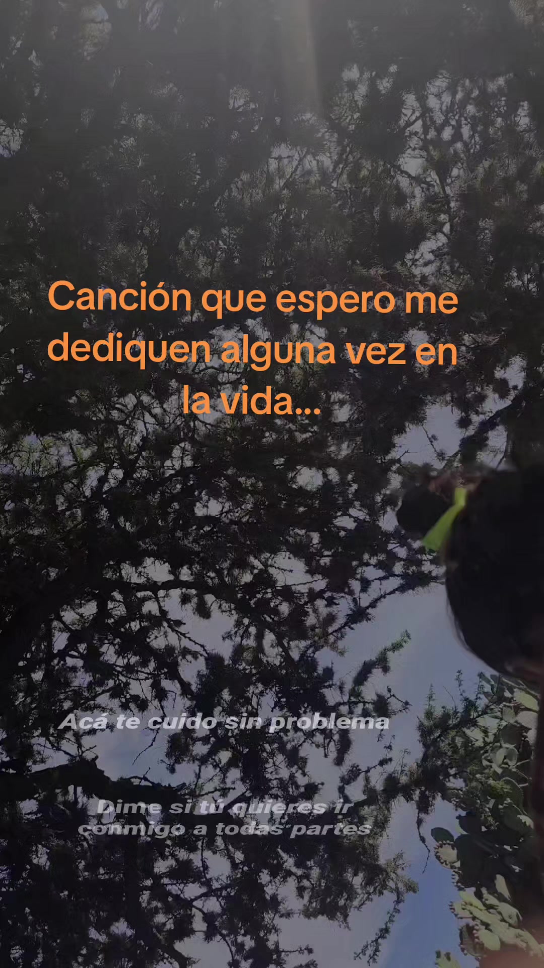 @Shaian O