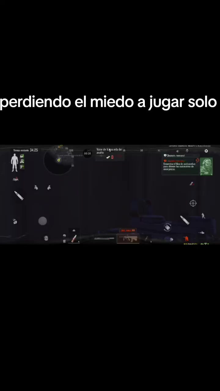 @gato de combate