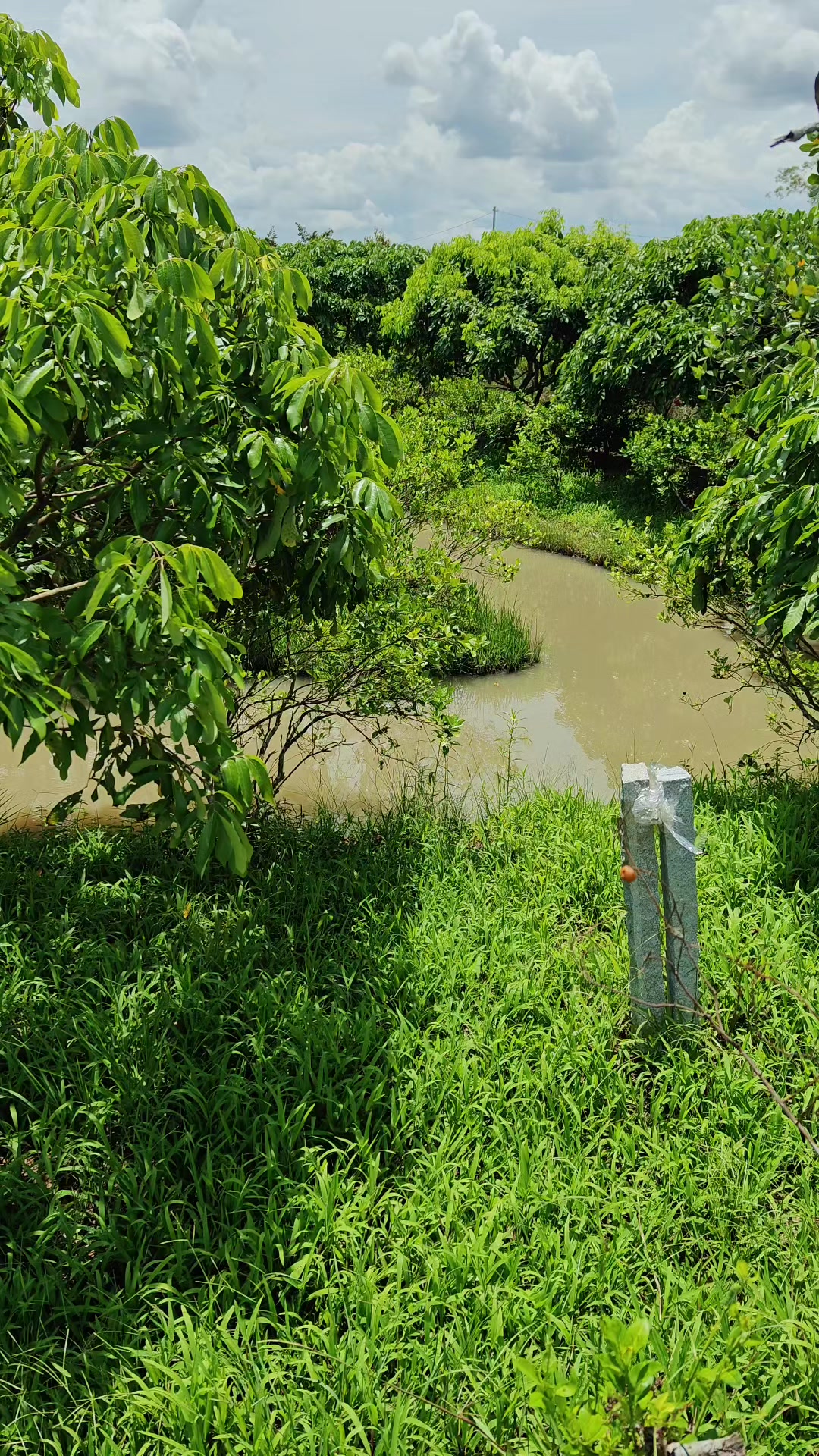 @Bất Động Sản Cần Thơ