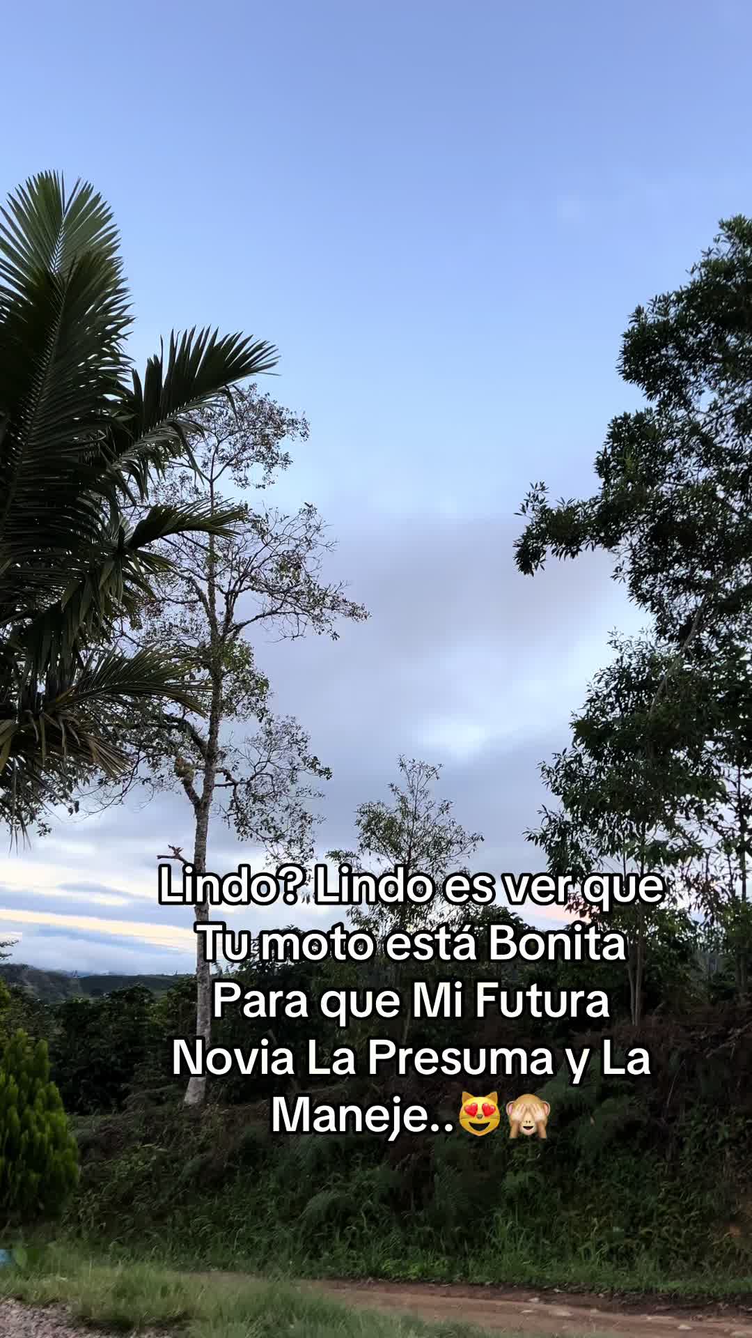 @𝓓𝓲𝓭𝓲𝓮𝓻