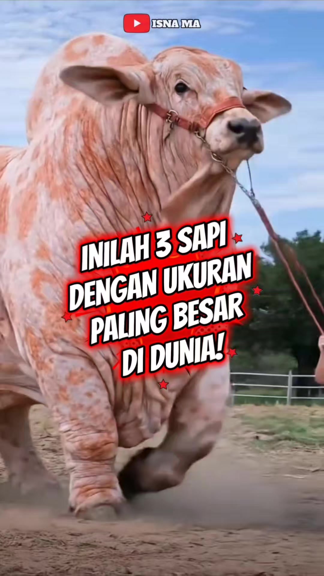 @Illank koko