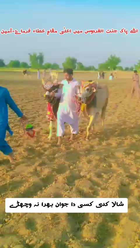 @AqibAwan