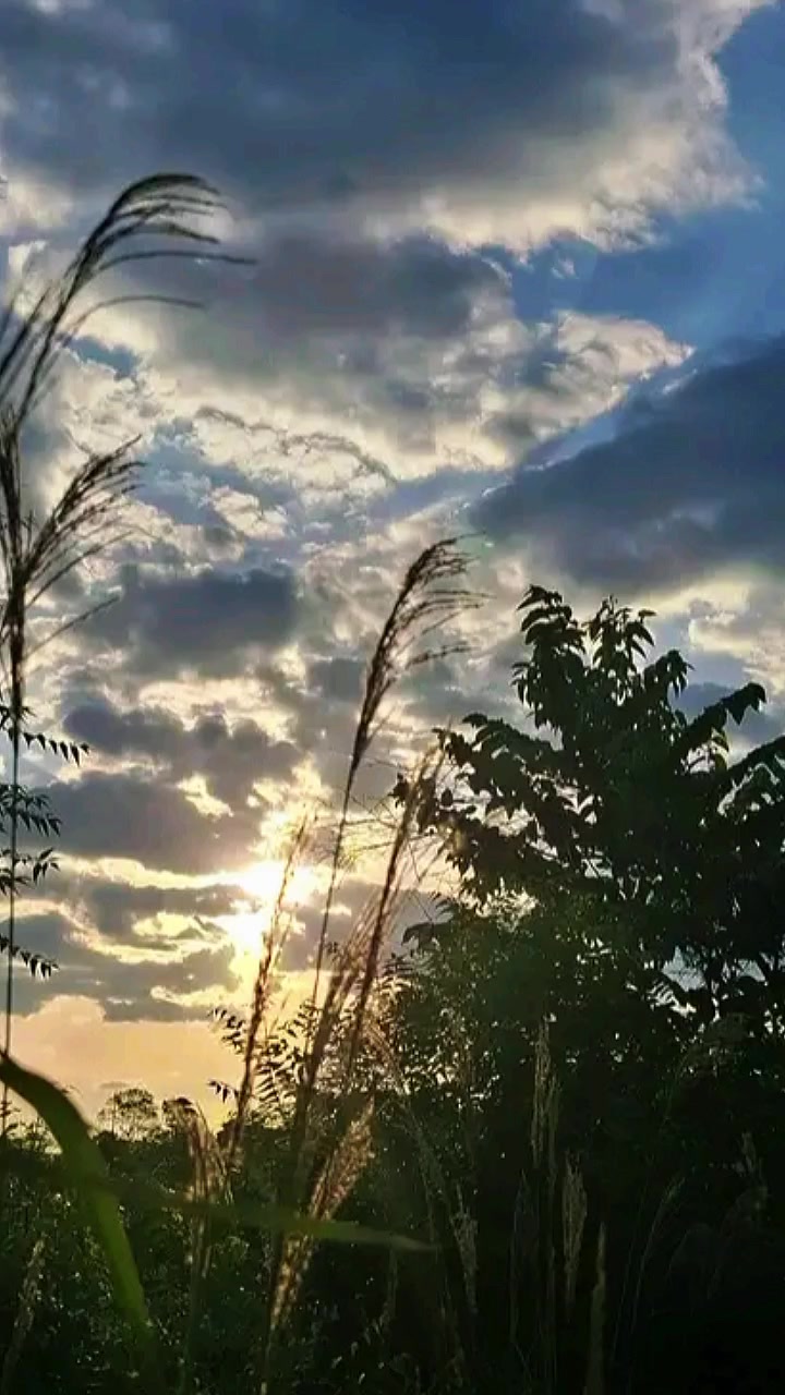 @🇹🇷✨Erika_Dub&oacute;n🇵🇹💖