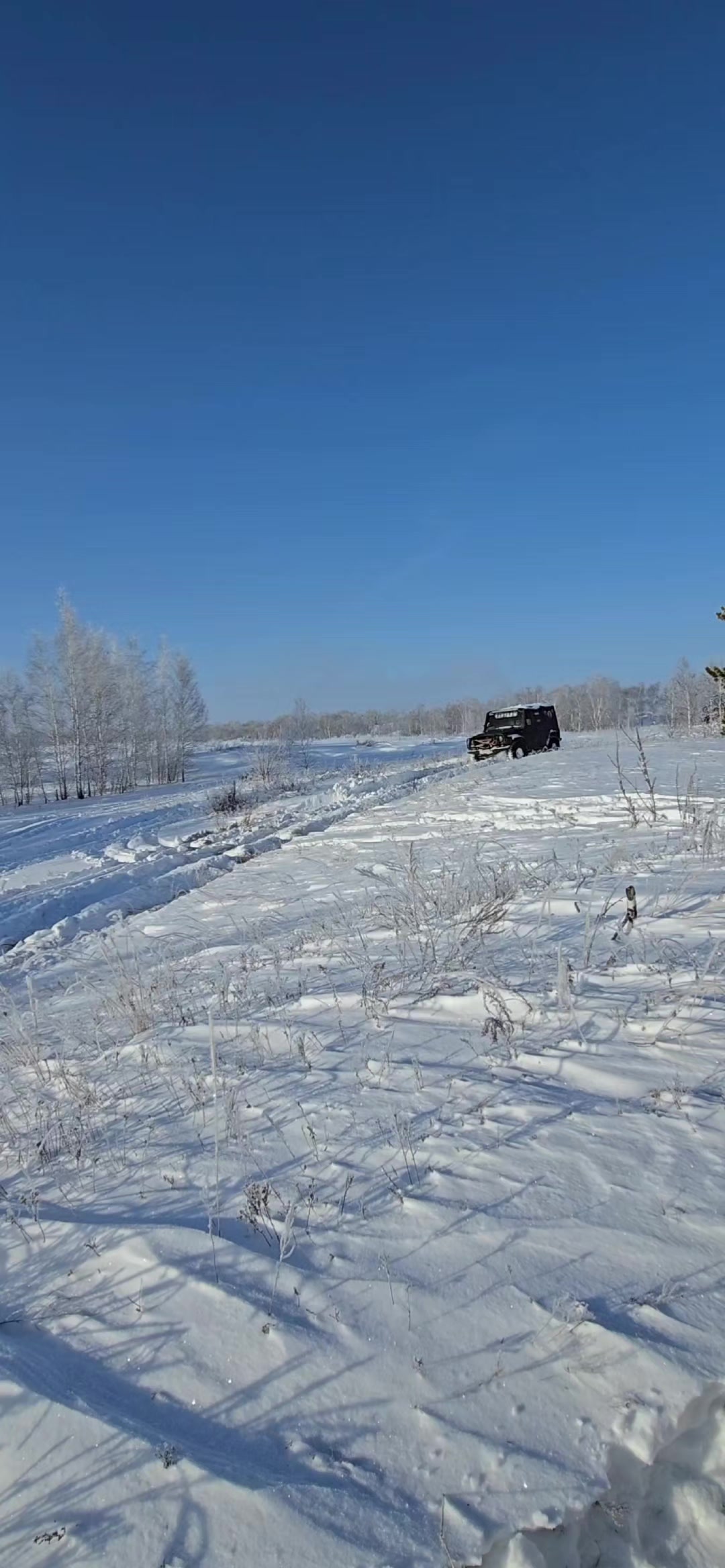 @Сергей174