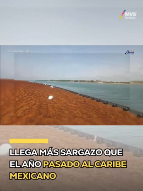 @MVSNOTICIAS