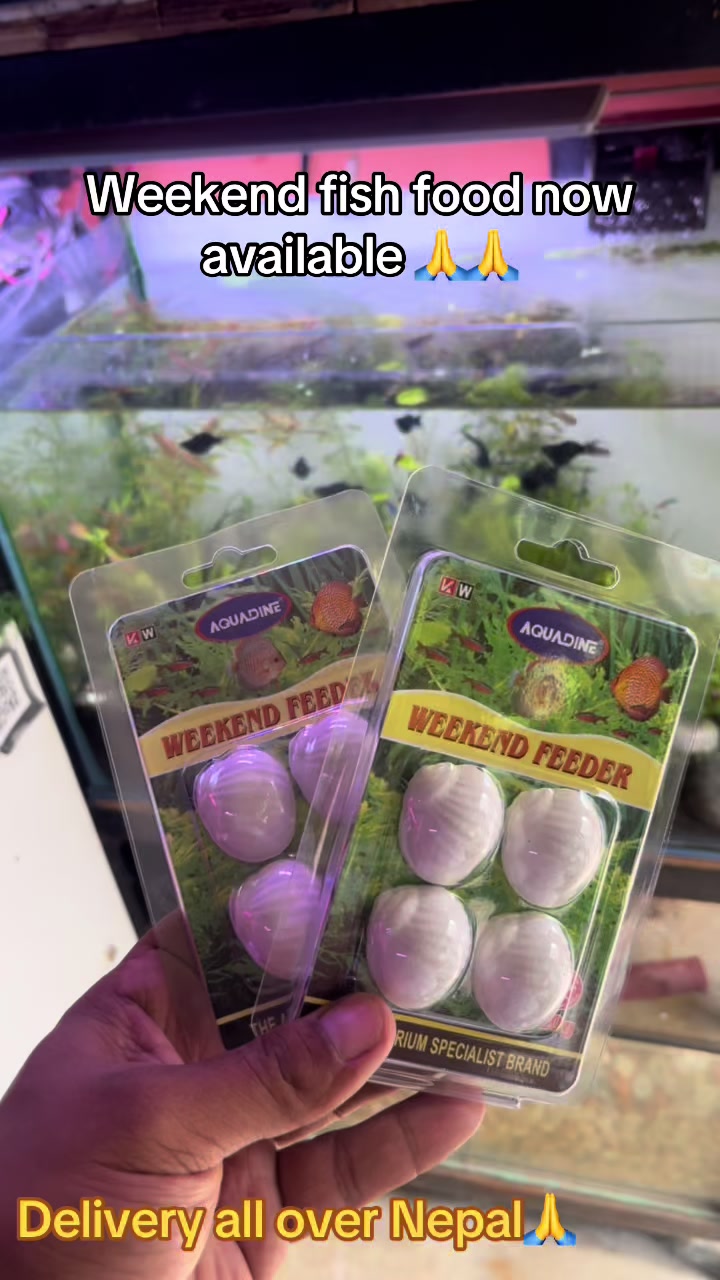 @aquadesire2🐠🐠