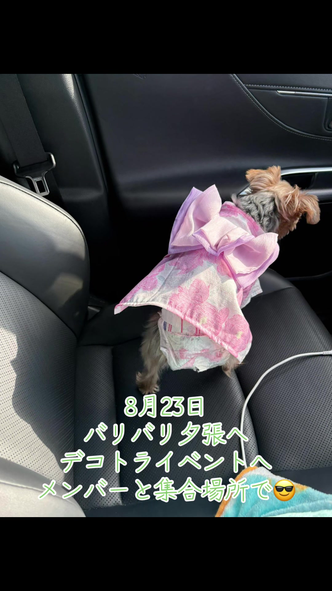 @🌸北のカリスマ桜丸🌸