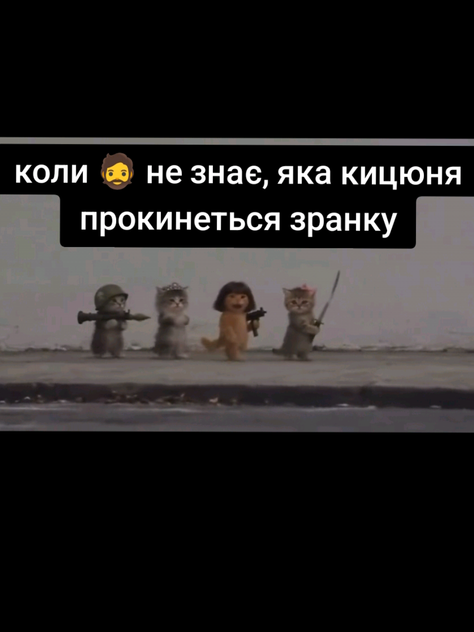 @yuliabohdanova