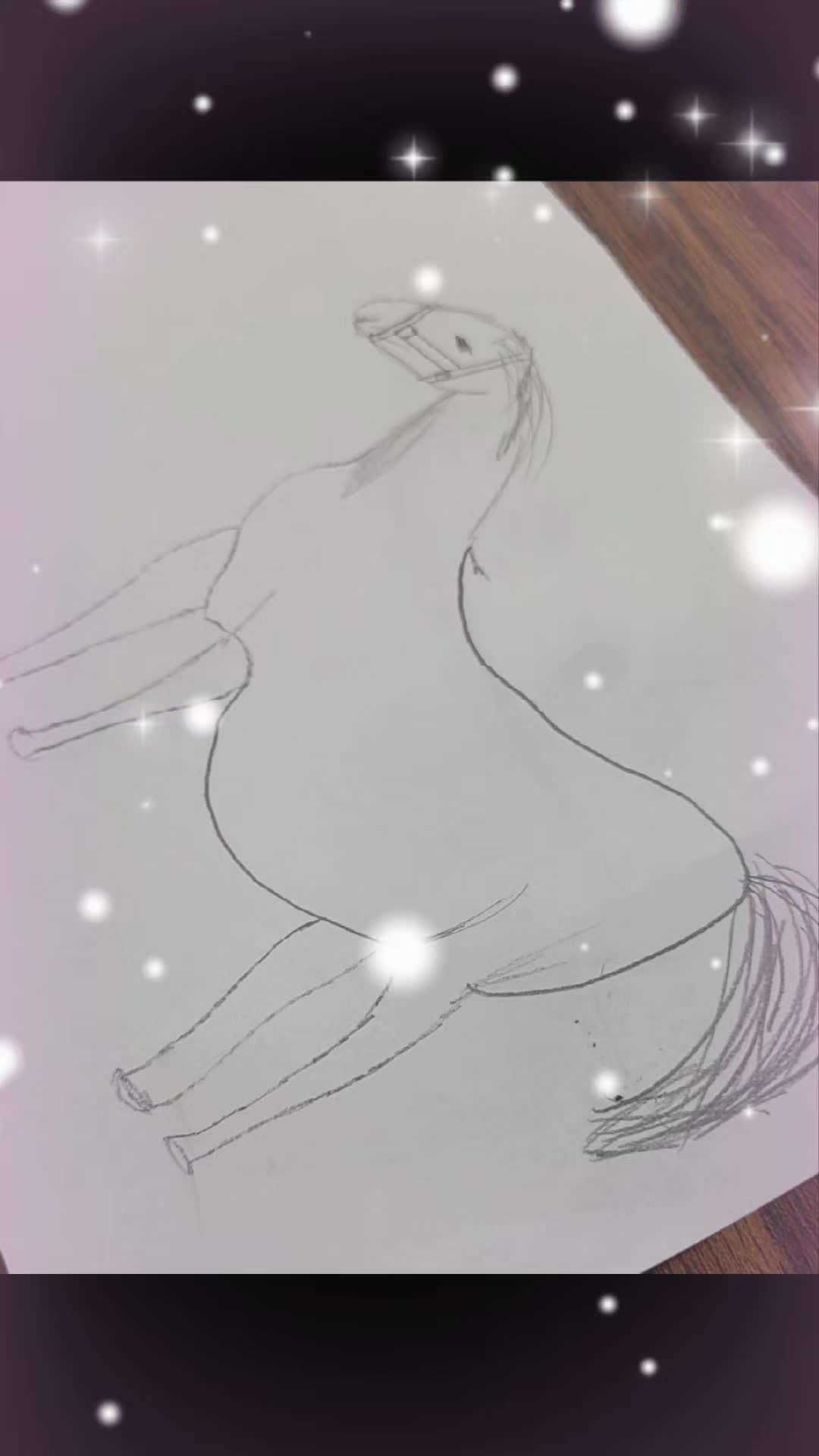 @🌟