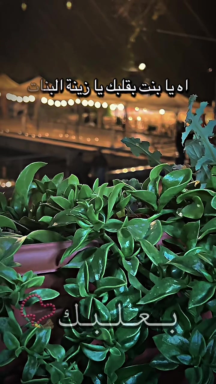 @Hadi zaiter