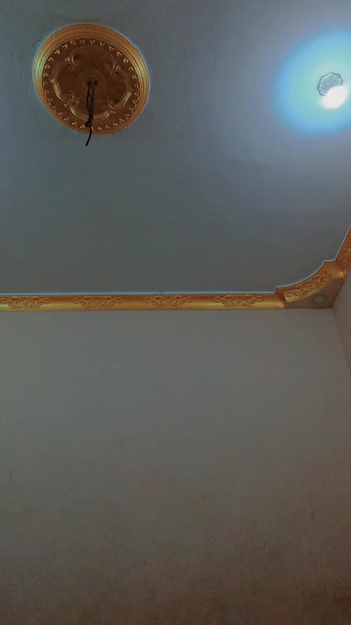 @حمو الدولي
