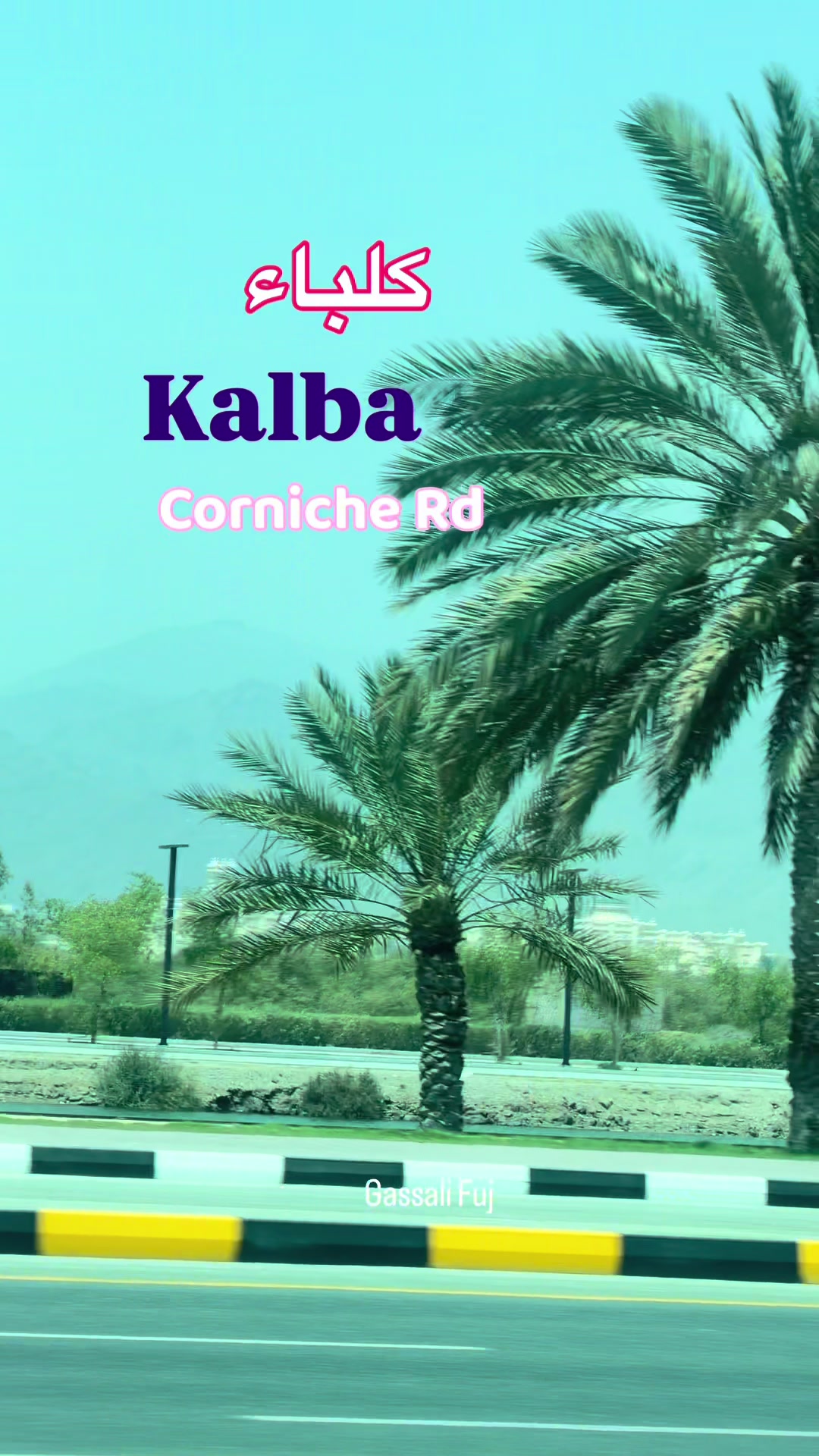 @Fujairah Lovers