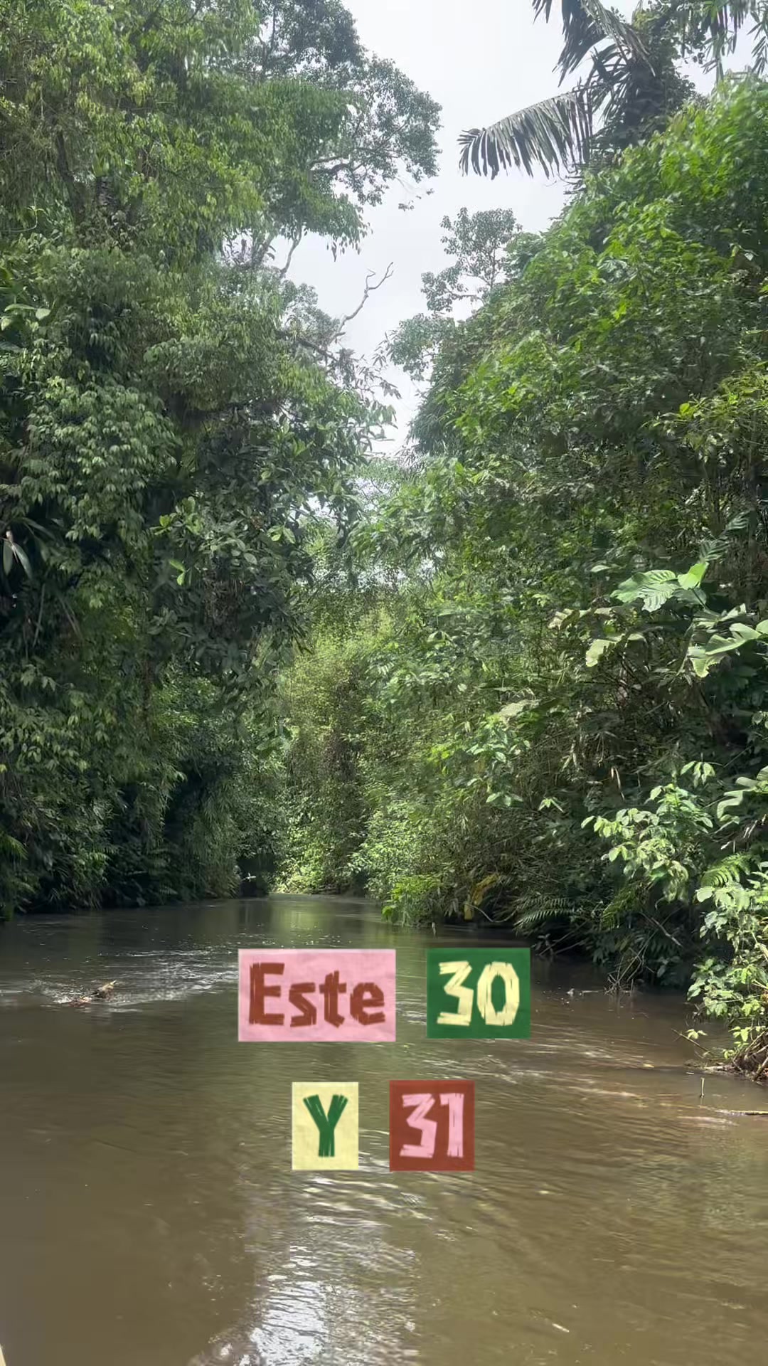 @Fundaci&oacute;n Selva Sonrisa