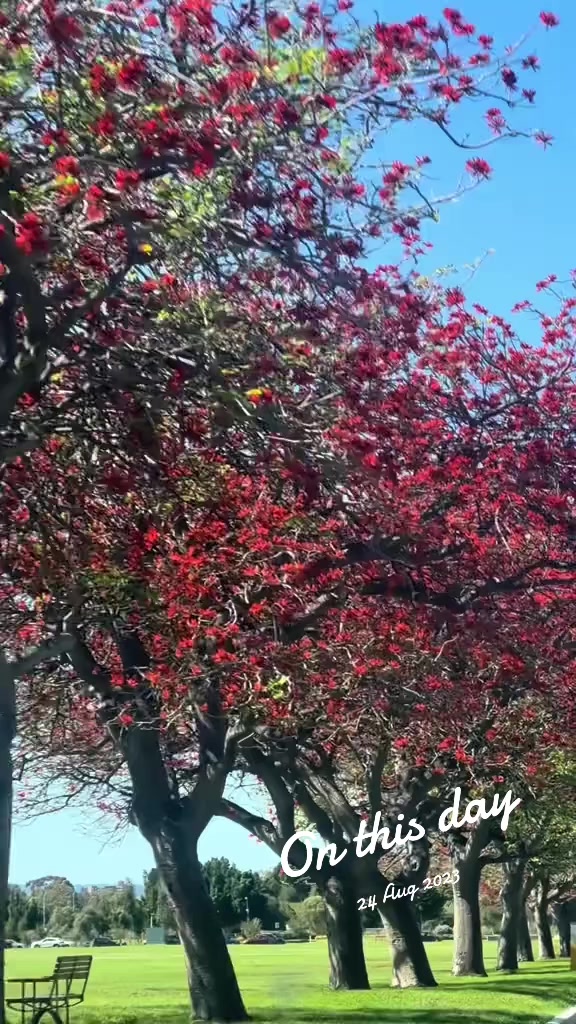 @அழுகைக்காகபிறந்தவள்