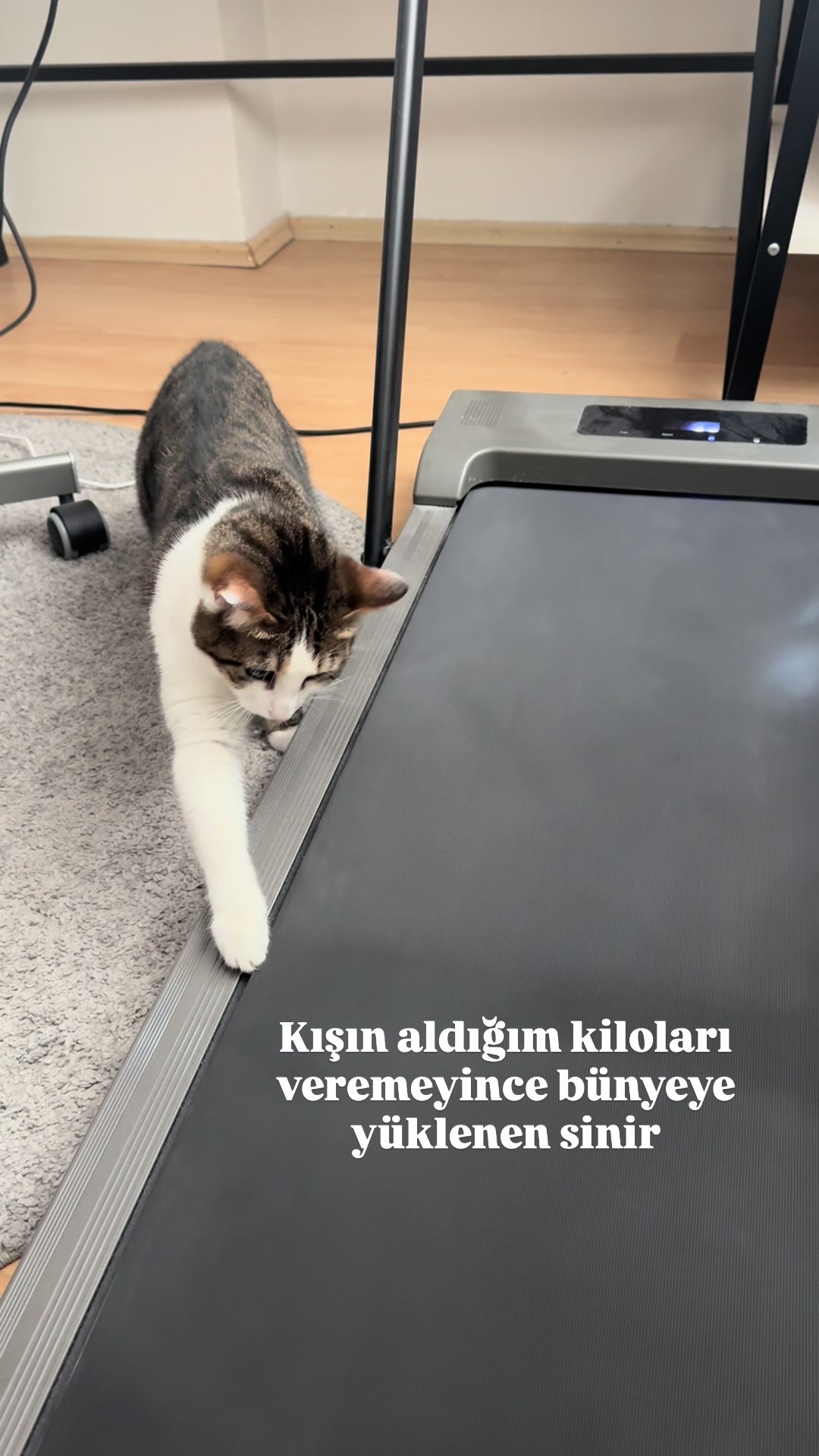 @konusankediminnos