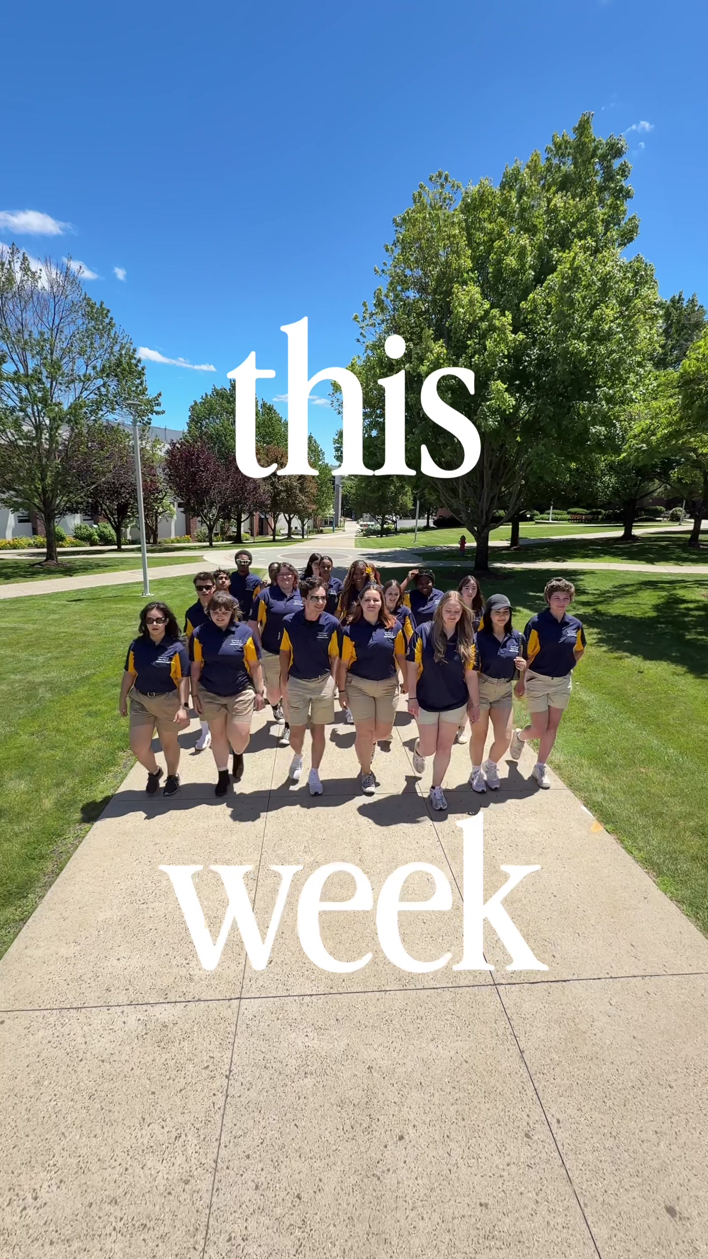 @University of New Haven