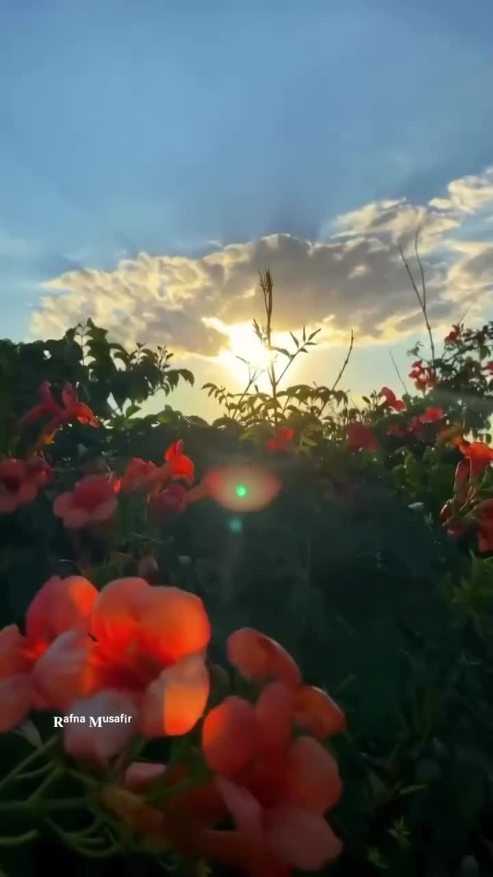 @█▒𝐑░𝓪░𝓯░𝓷░𝓪▒█