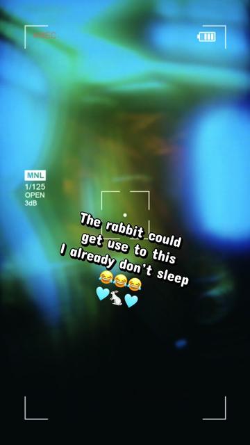@The Rabbits Den