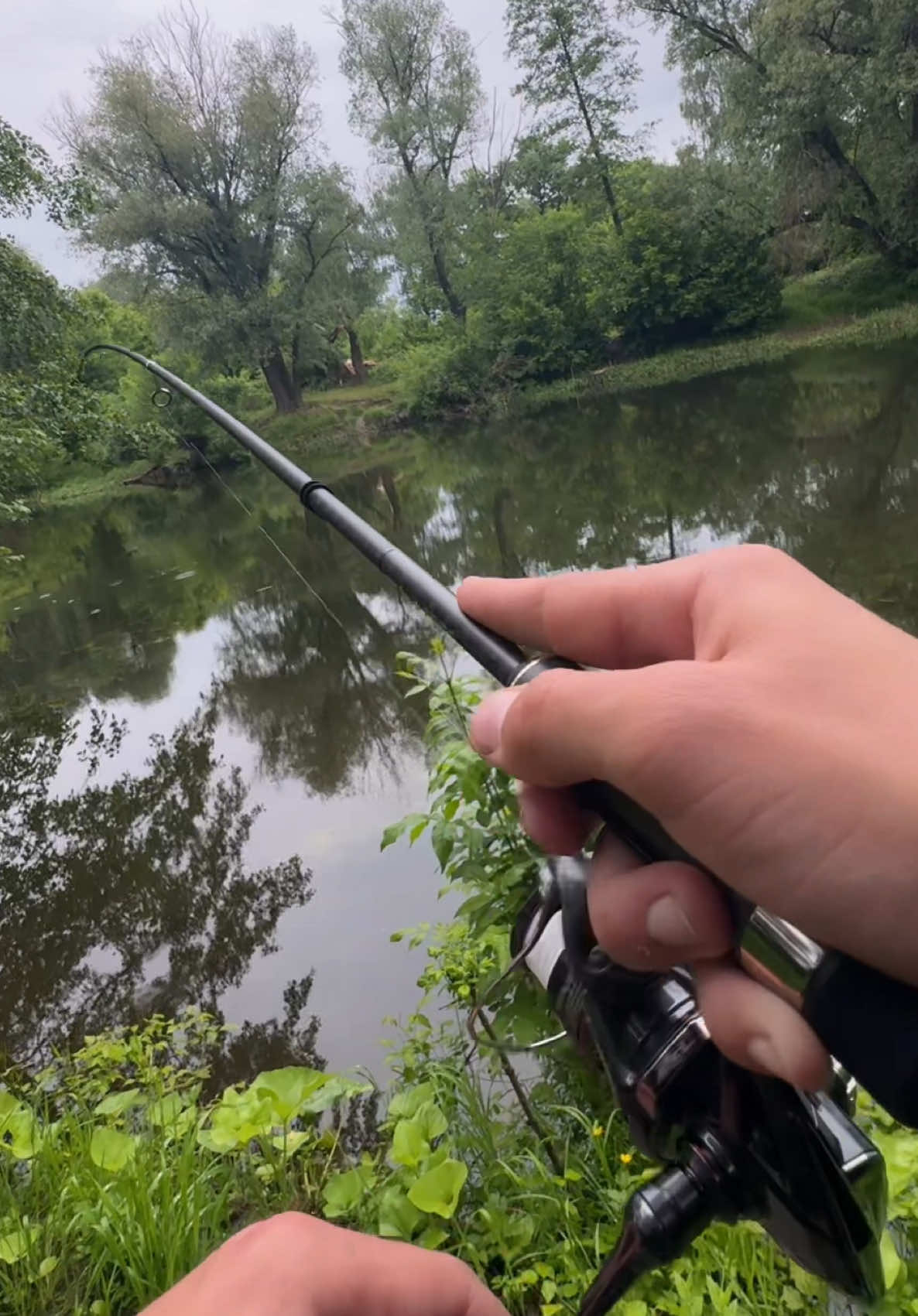 @𝗧𝗚.𝗗𝗬𝗫𝗙𝗜𝗦𝗛🎣