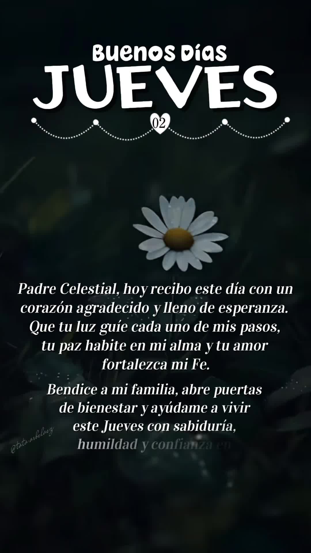 @tata.arbelaez