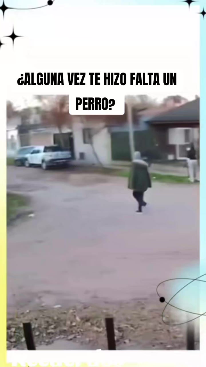 @luchoalvareztiktoker