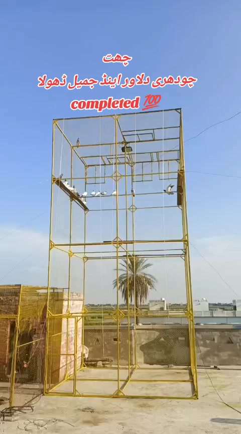 @Pigeons Cages maker 💞