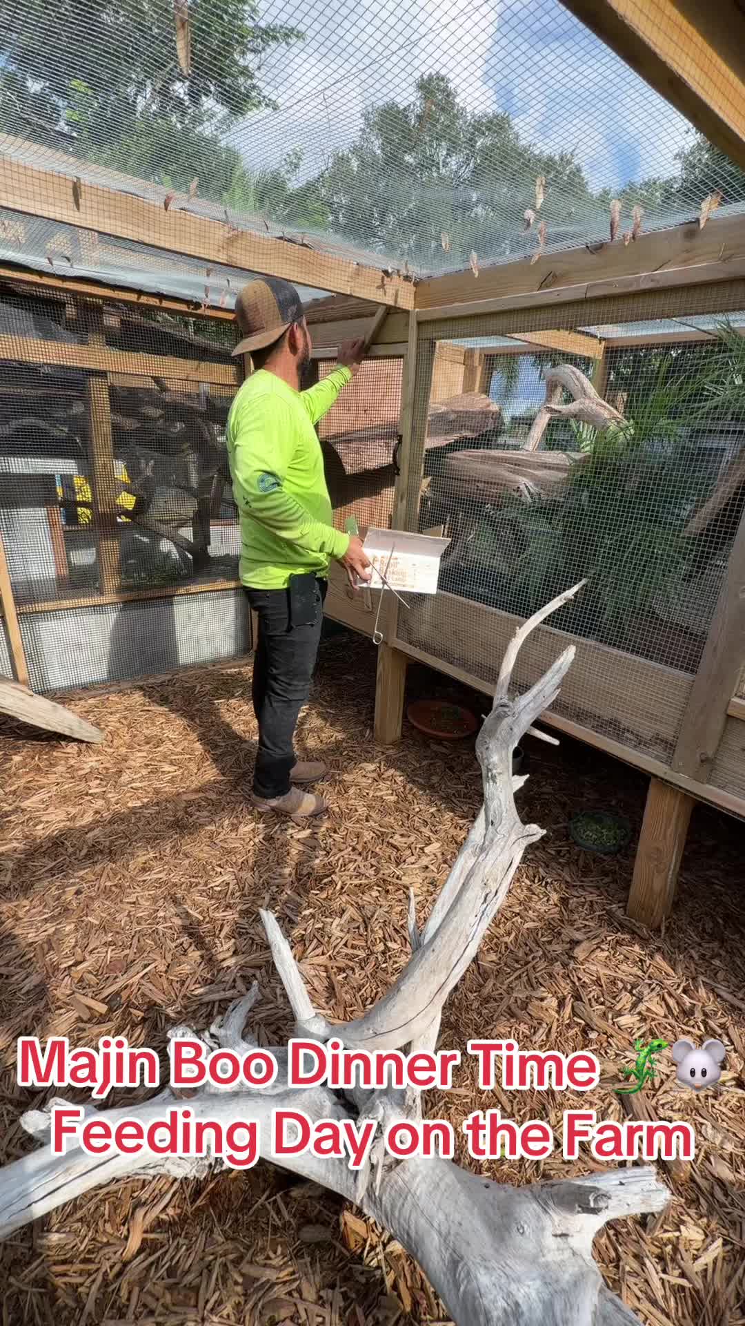 @Exotic Reptiles Viva La Raza