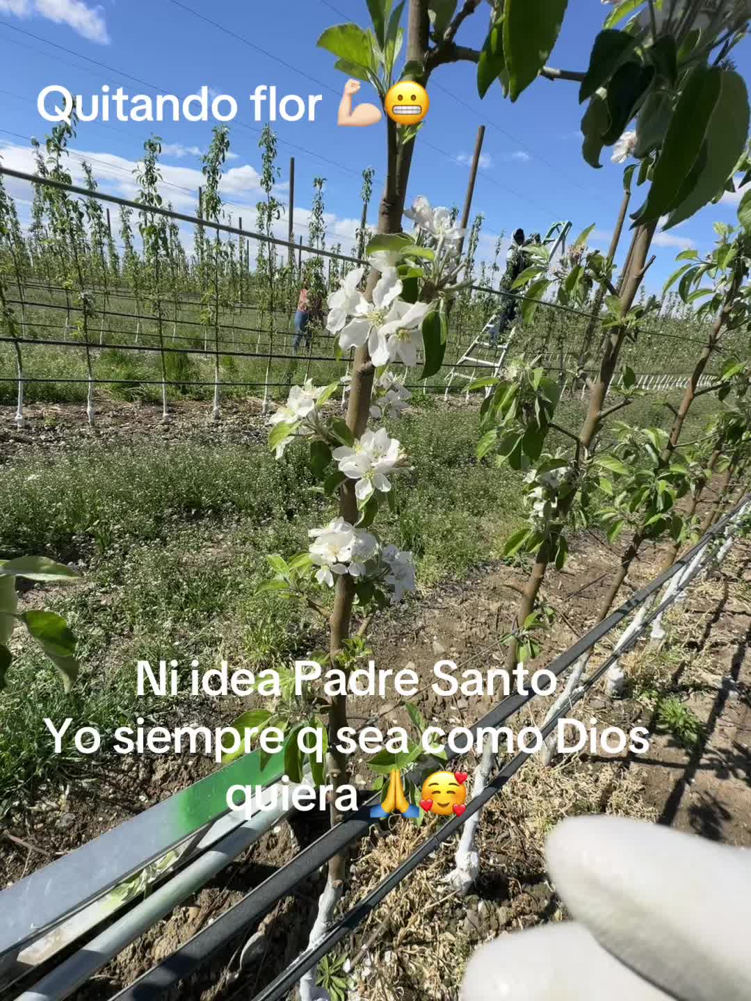 @🦋💕Mayra Arredondo💕🦋