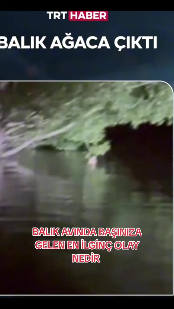 @Sportif Olta Balıkçıları