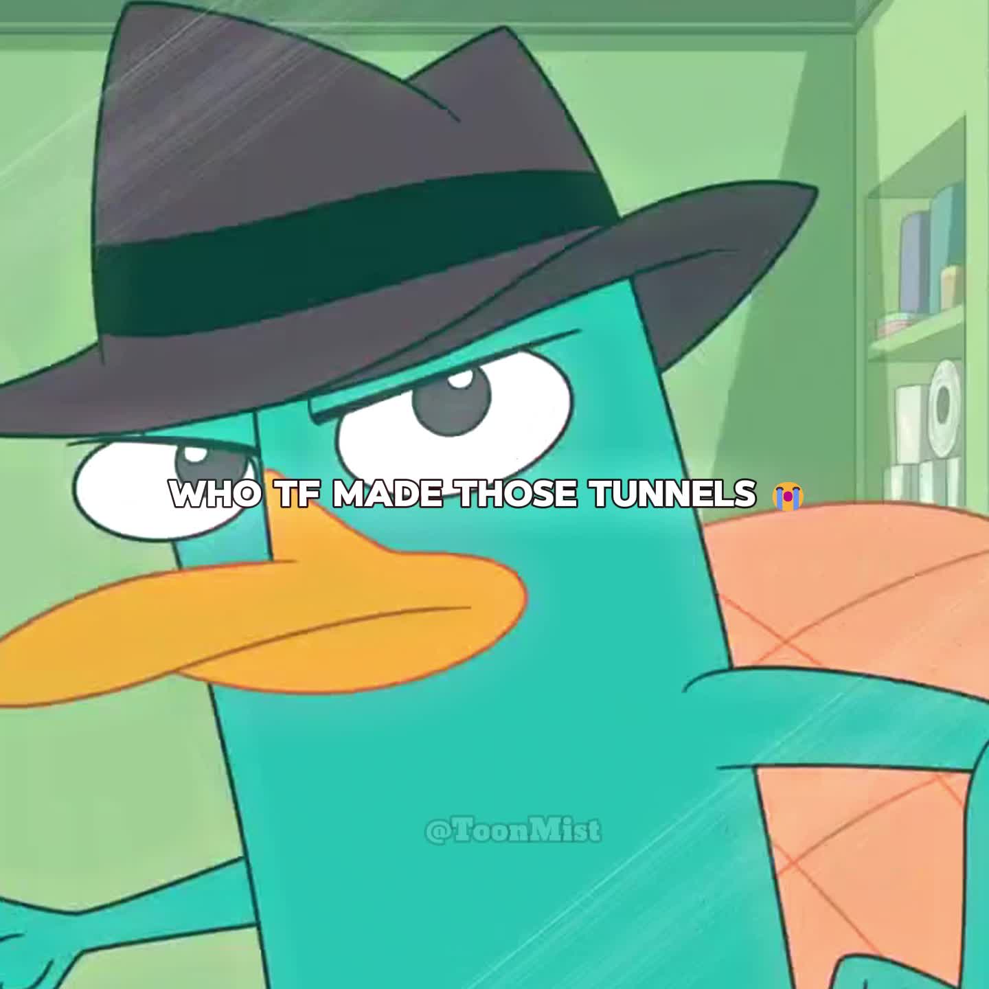 @ToonMist