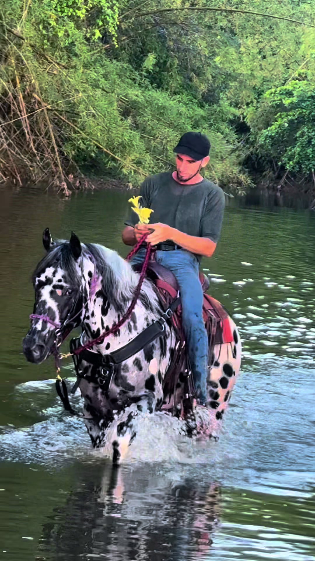 @Hacienda Do&ntilde;a Ana