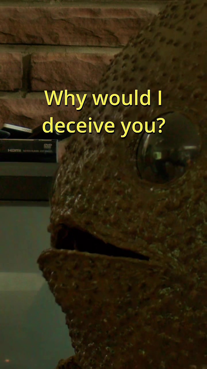 @Holy Frog Father