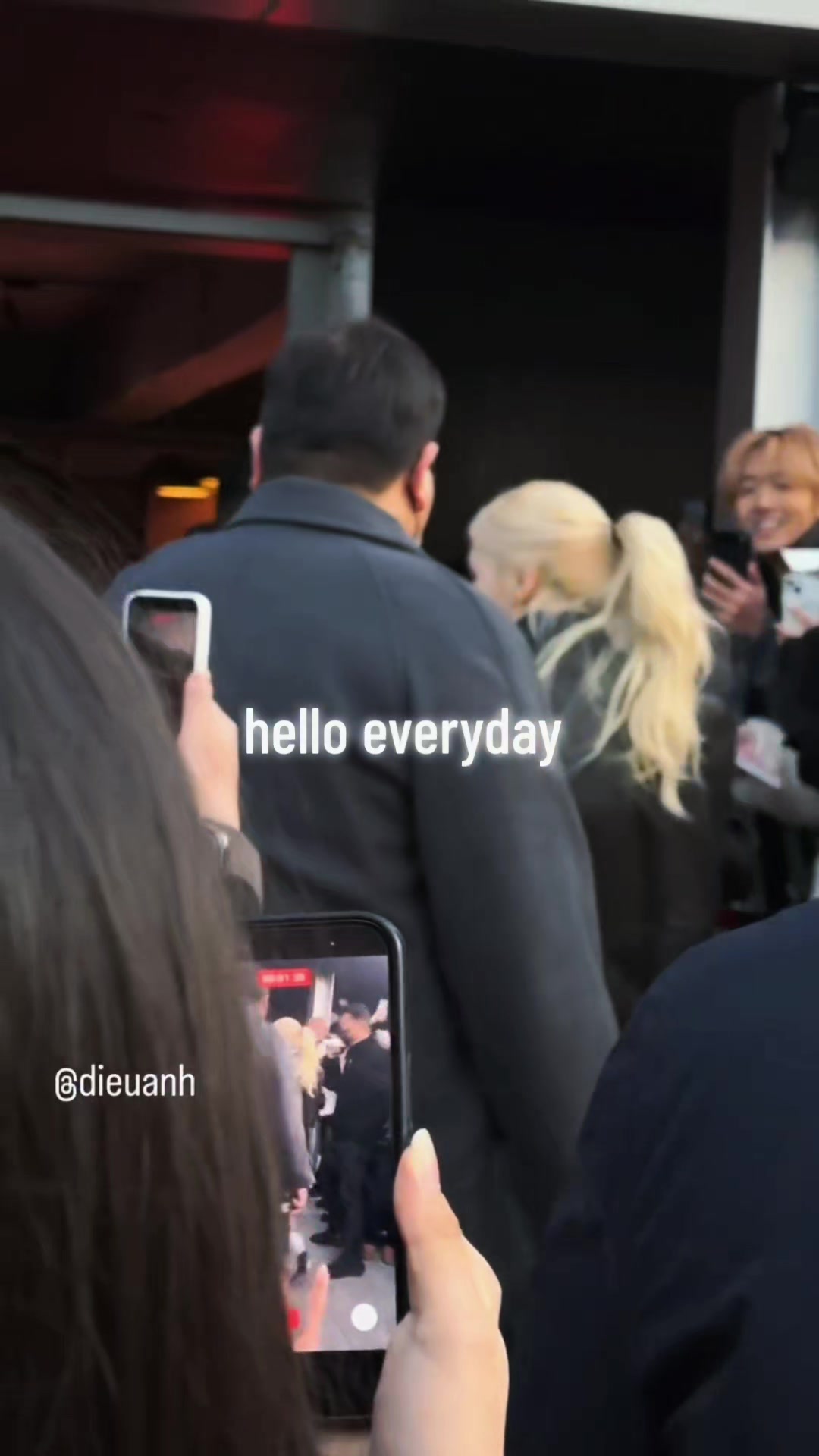 @RoseFancam