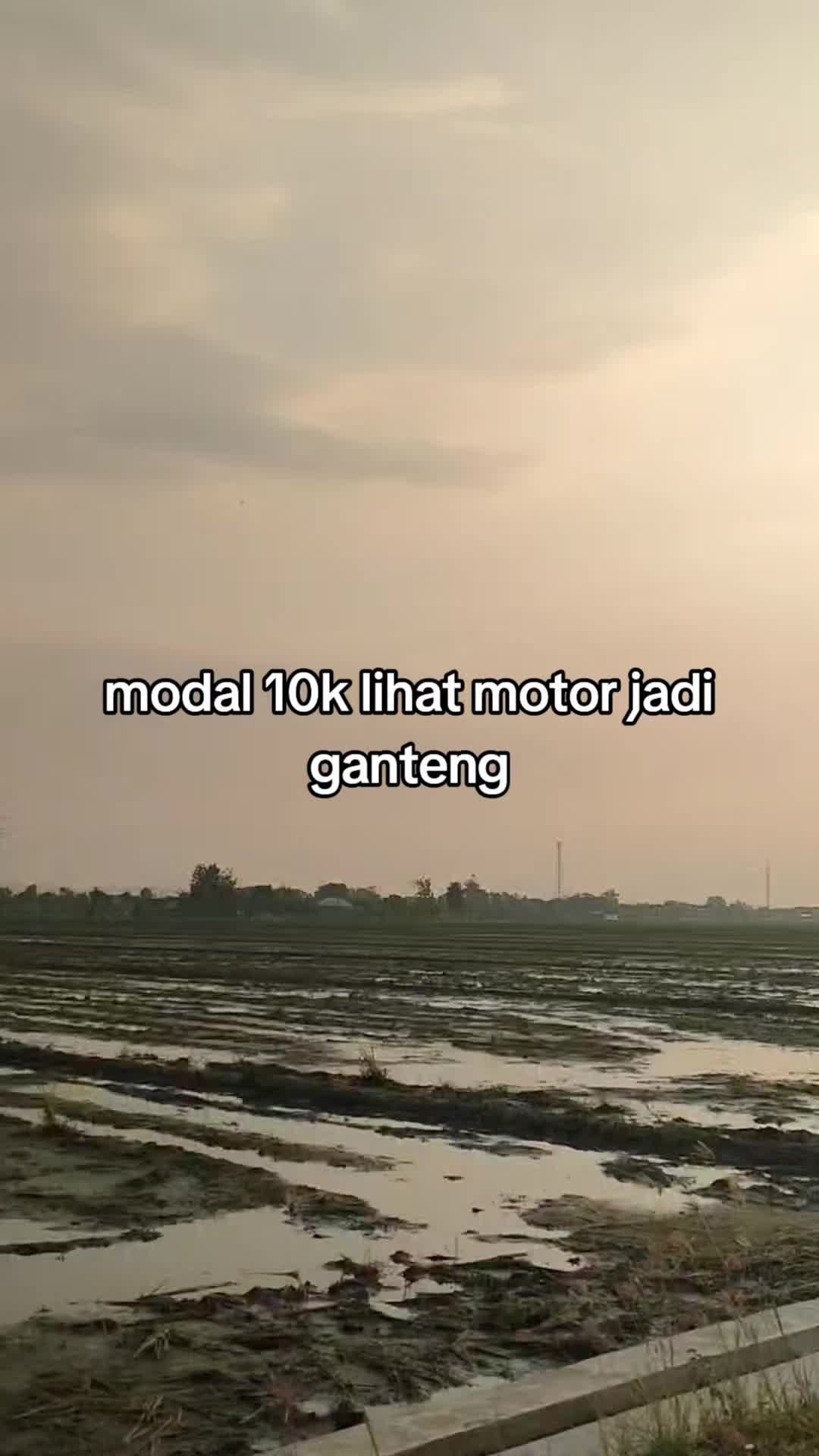 @pemulashopp