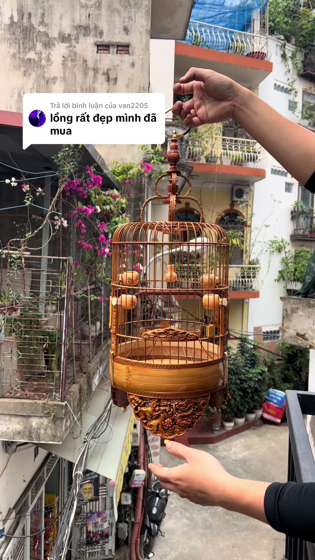 @Lồng Chim Đẹp