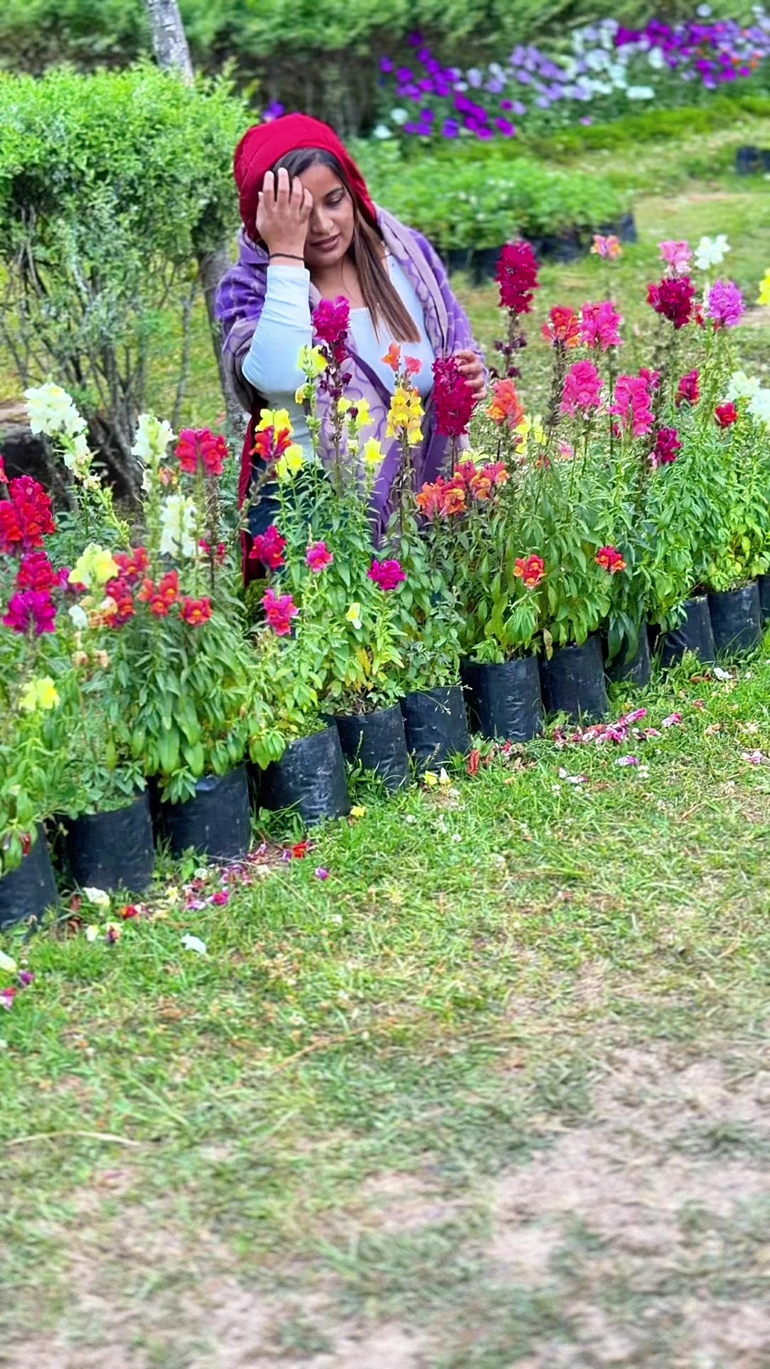 @Aarfa Beauty Home