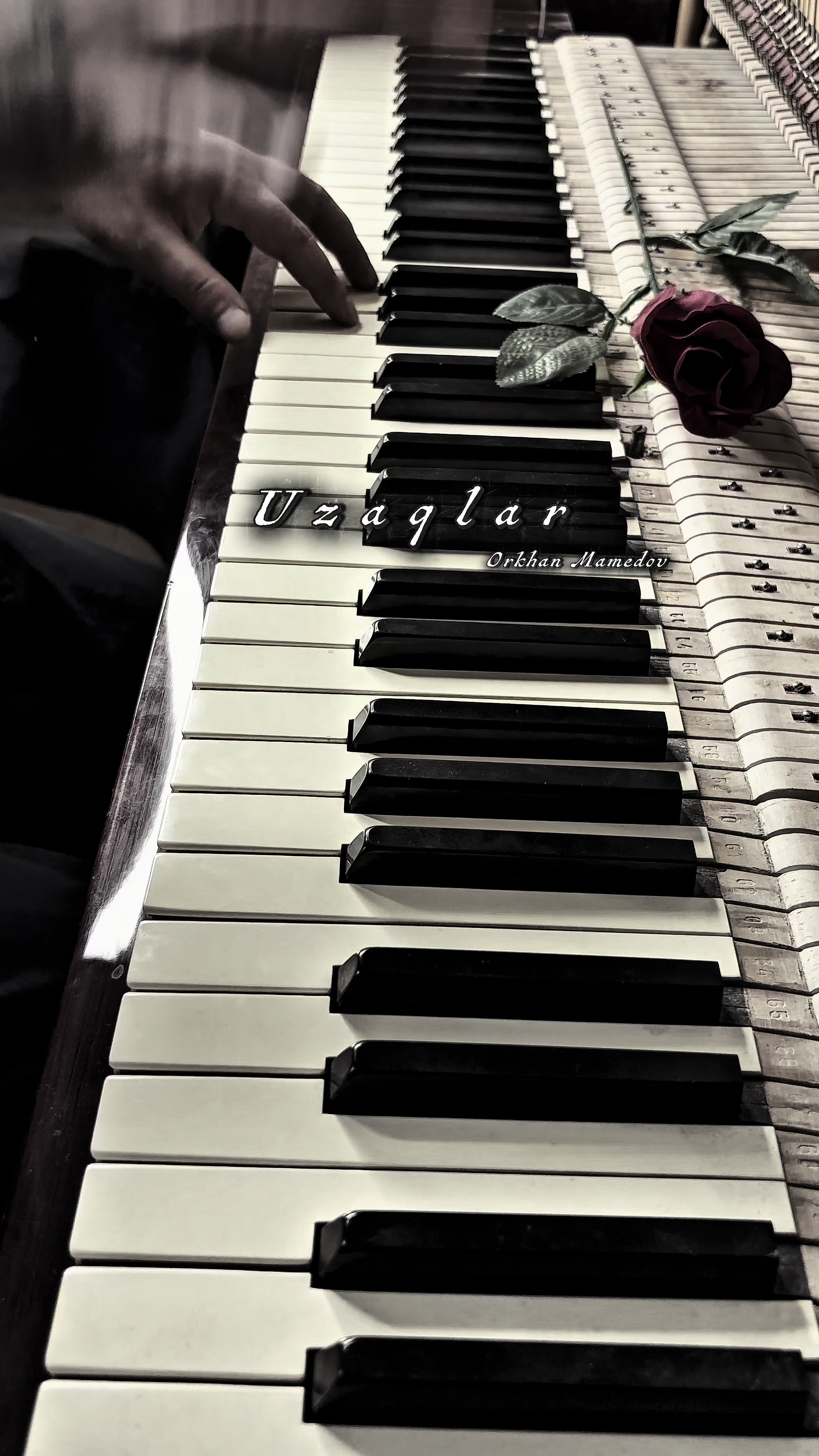 @𝙋𝙞𝙖𝙣𝙤 𝙗𝙮 𝙈𝙖𝙢𝙚𝙙𝙤𝙫