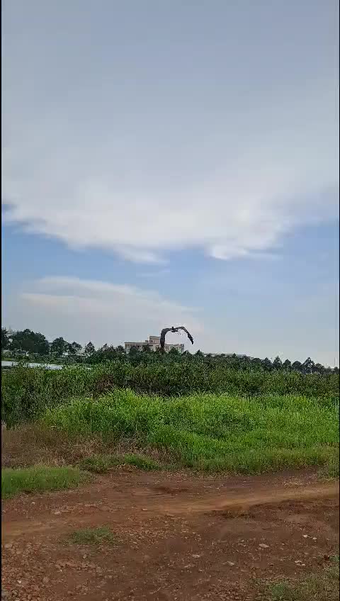 @Hải Phan